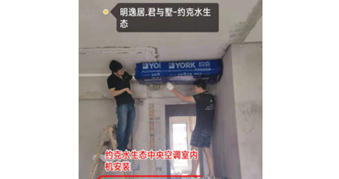 約克深夜福利网站兩聯供